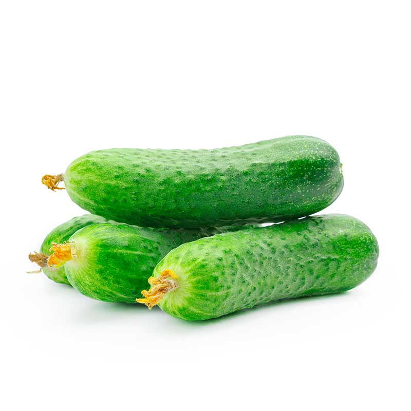 Mini Sliced Cucumbers